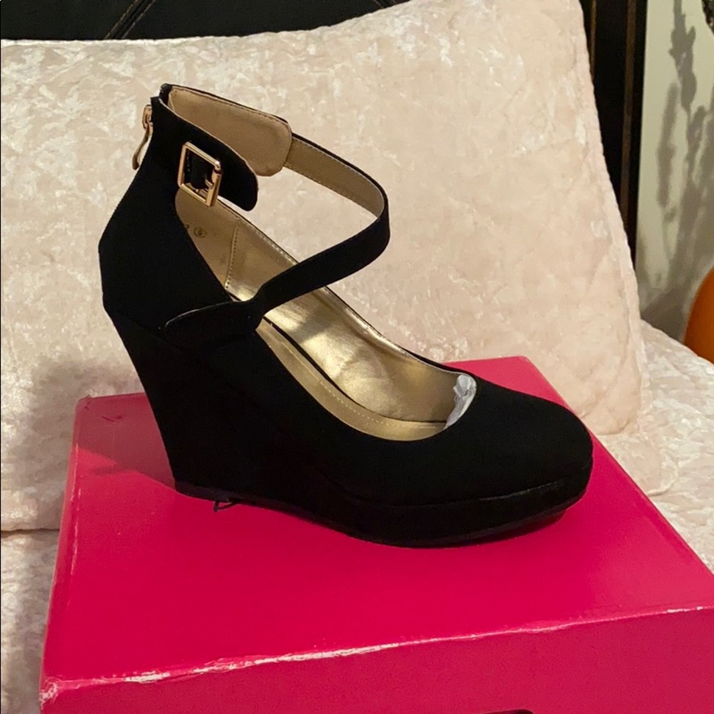Wedge pump